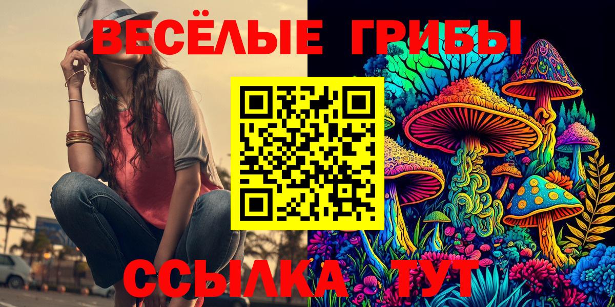 Галлюциногенные грибы Cubensis Ачинск